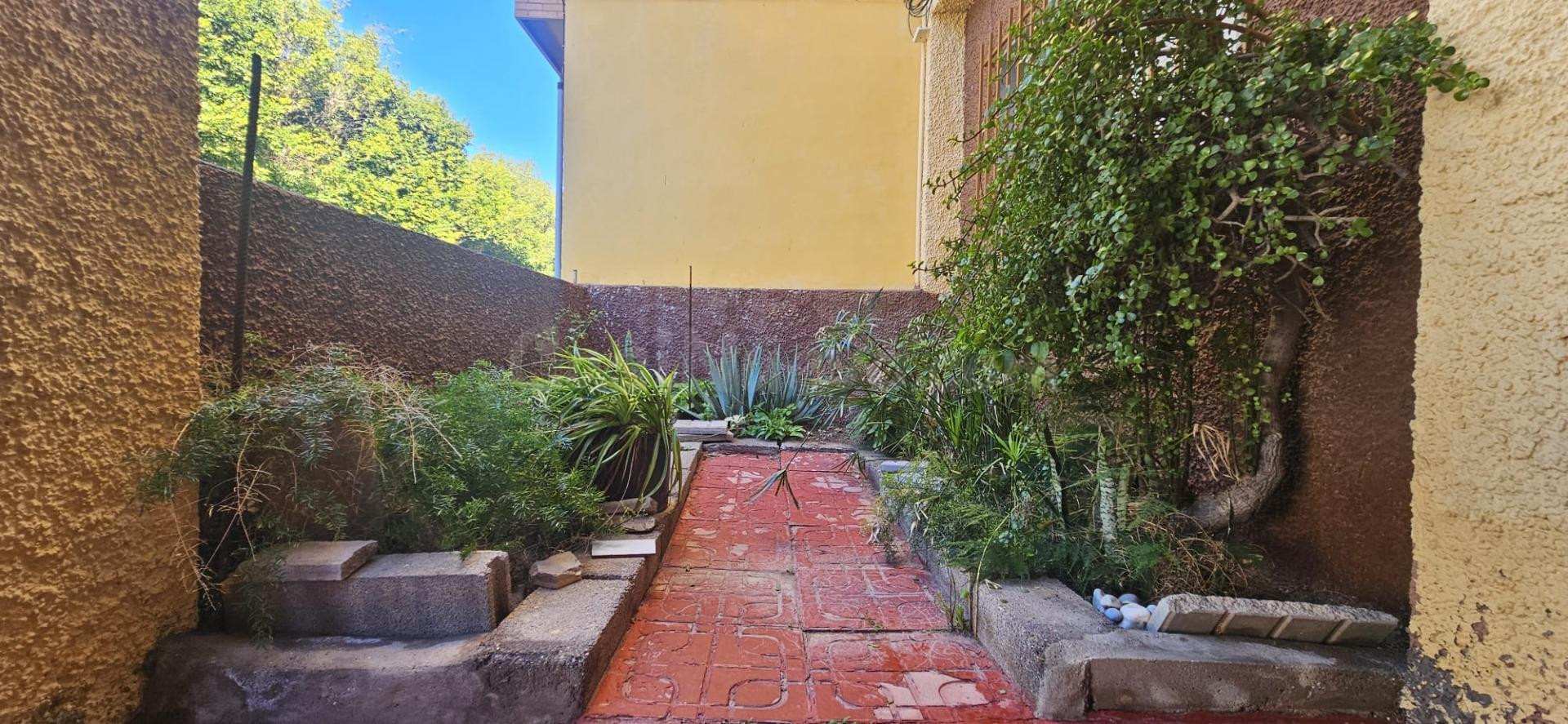 ¡Gran oportunidad en Ejido Sur! Amplio dúplex de 146 metros  con patio de 64 m2 y enorme potencial