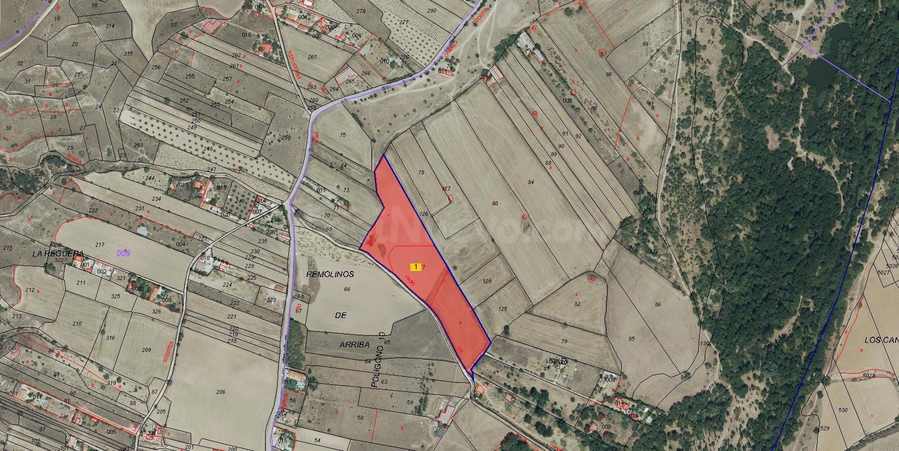 Finca rústica en venta en El Molar