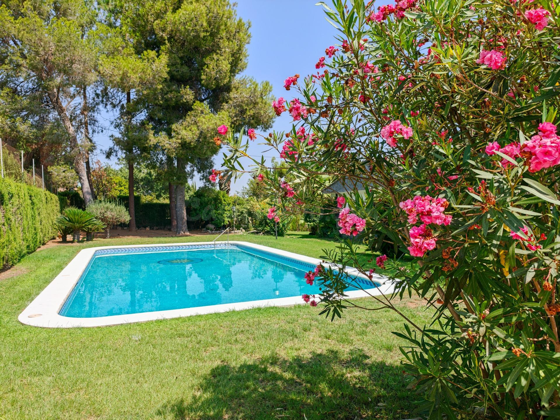 Chalet con piscina en Mas Pavia, Turís - foto 2