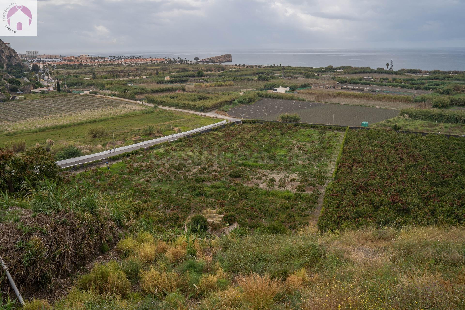 Finca con unas vistas de ensueño en Salobreña - foto 2
