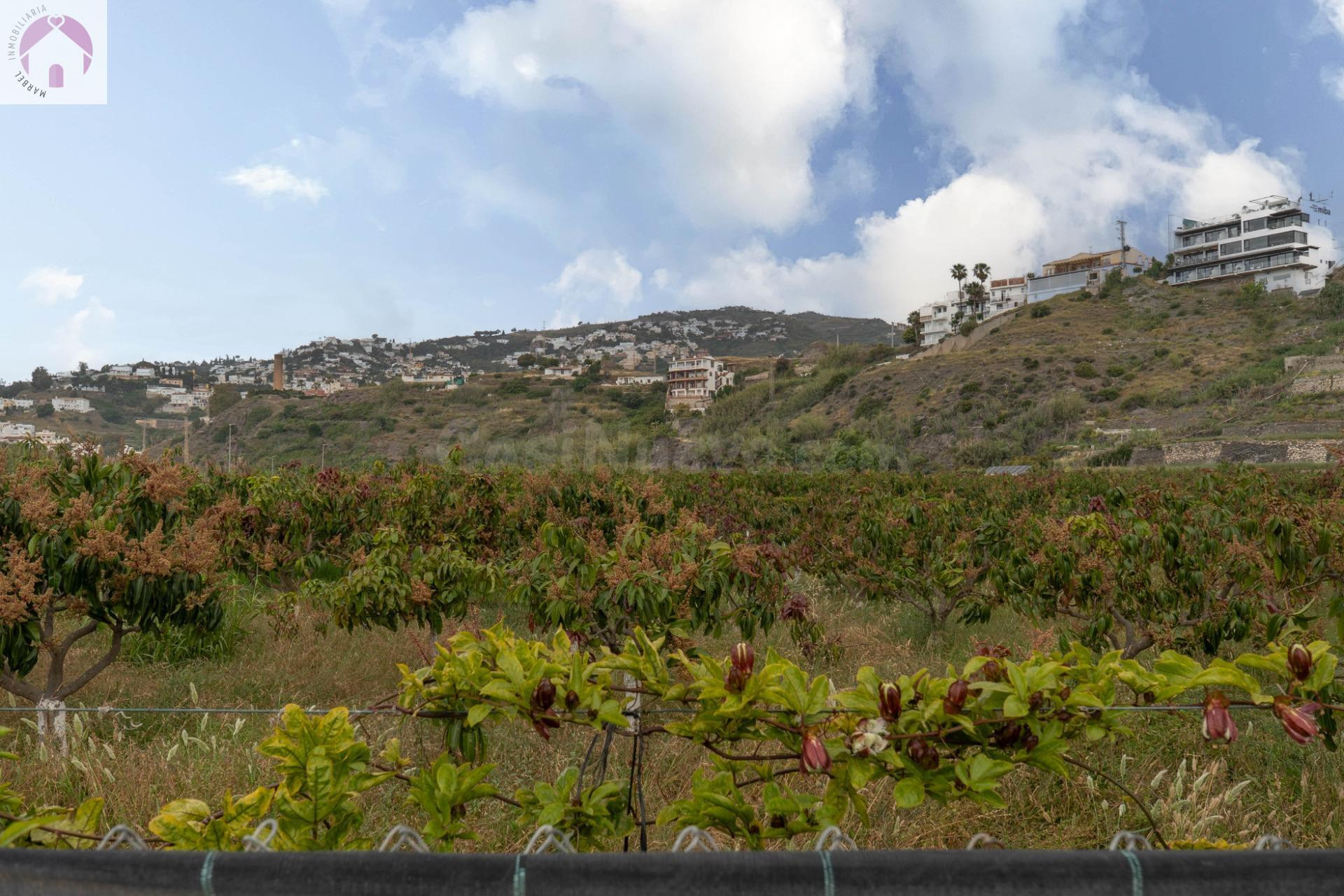 Finca con unas vistas de ensueño en Salobreña - foto 5