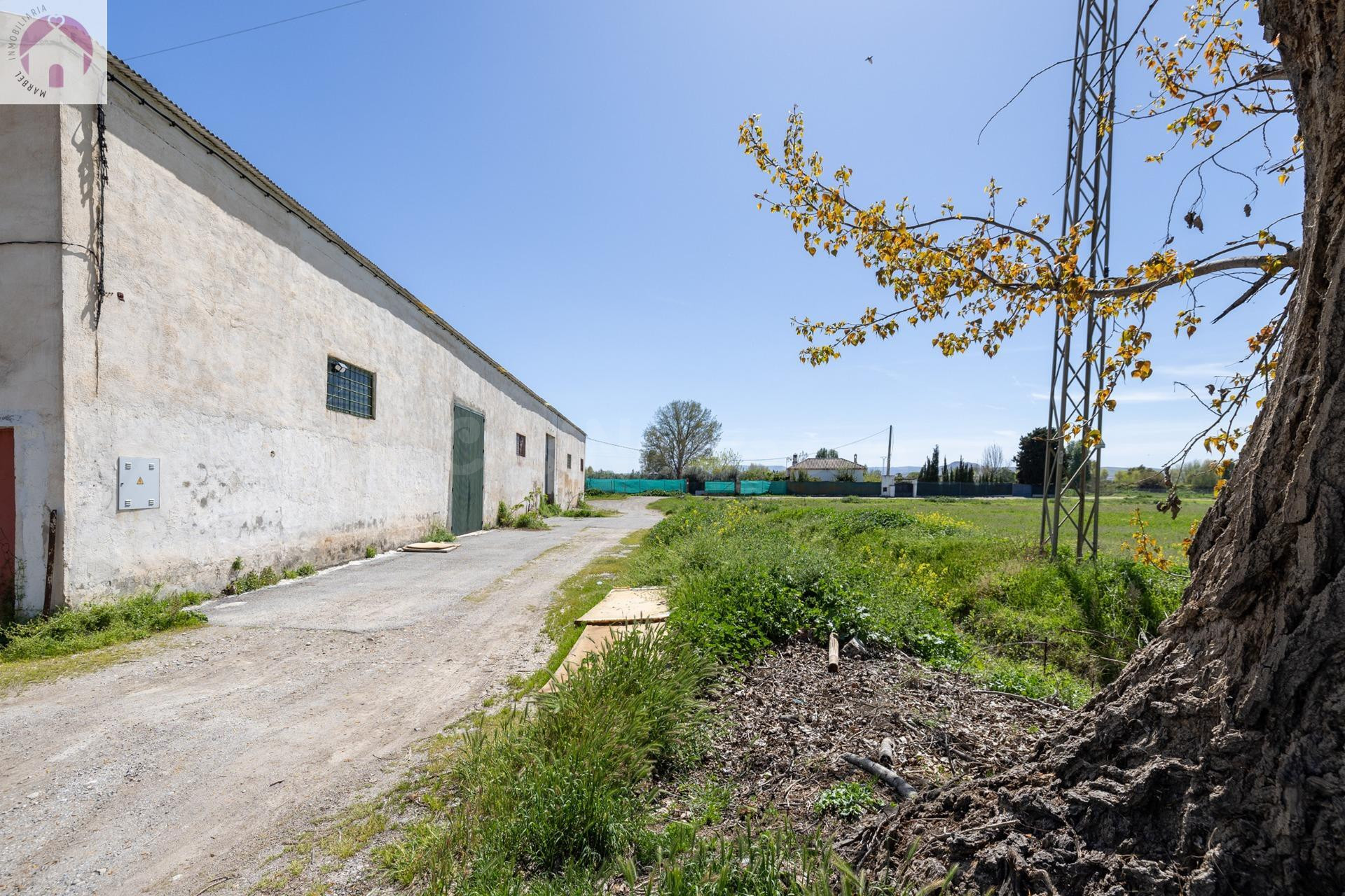 Casa con terreno 5 habitaciones 844m² en venta - Ronda - Ara - foto 4