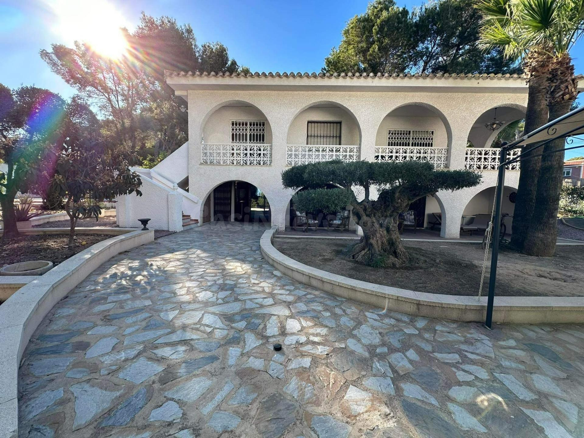 104 CASA OLIVIA
