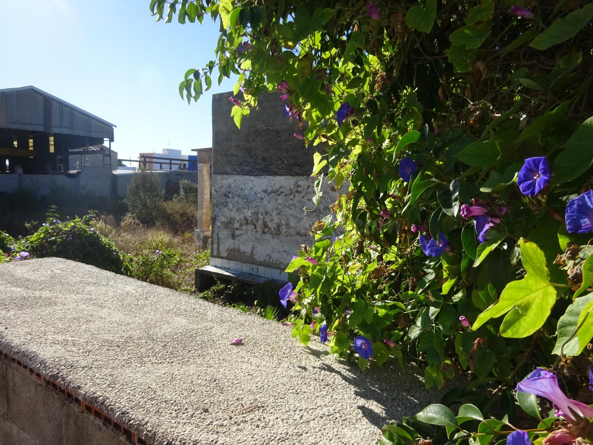 PARCELA URBANA CON CASETA, EN ZONA MADRIGAL - foto 4