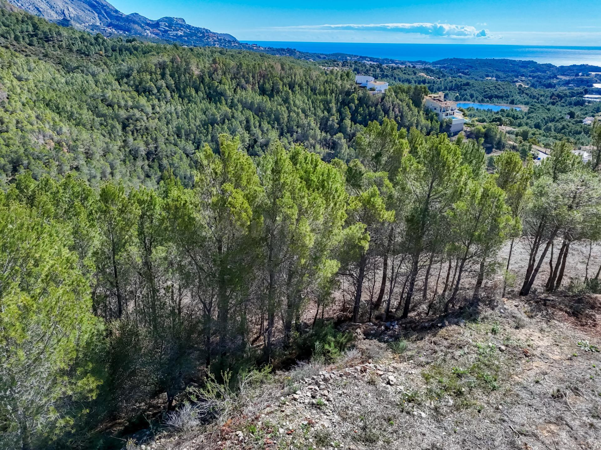 Amplia parcela urbana con vistas a la montaña en Callosa d'e - foto 3