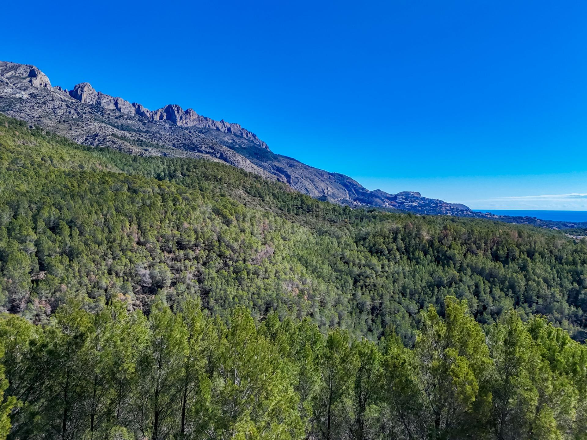 Amplia parcela urbana con vistas a la montaña en Callosa d'e - foto 5