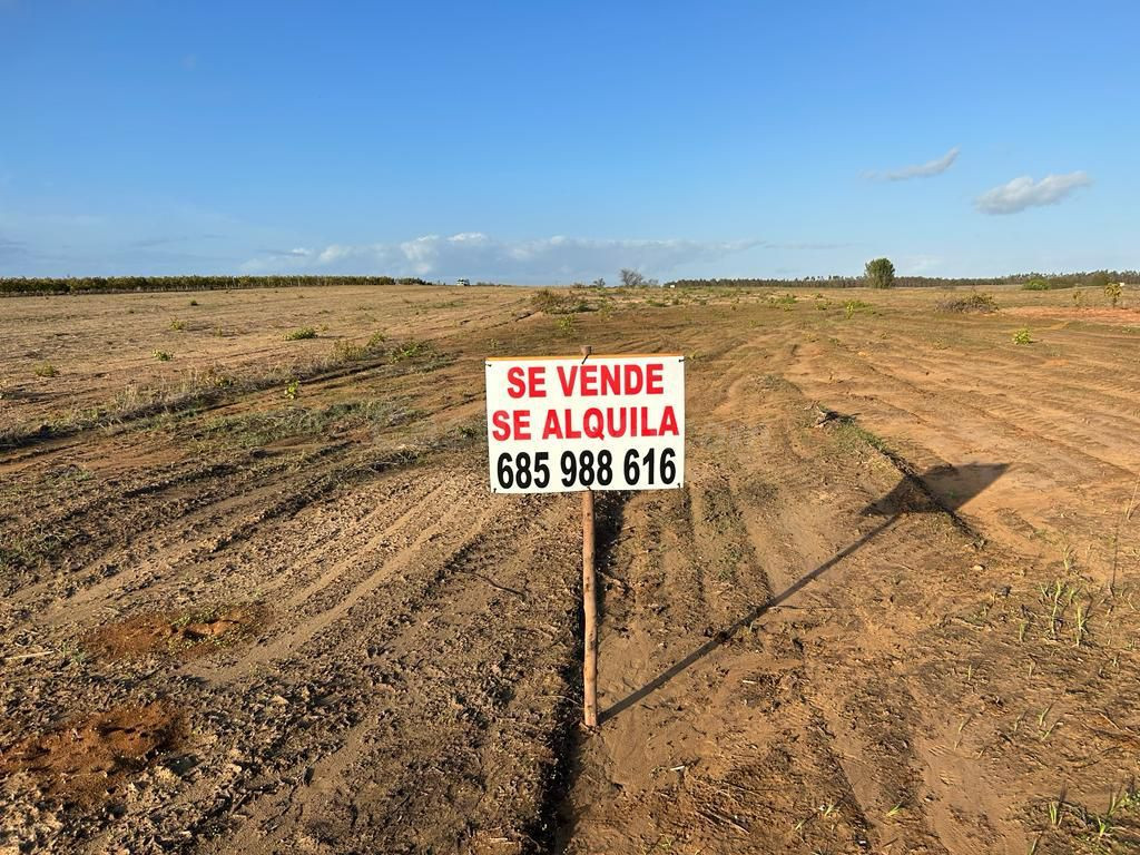 Terreno rural en venta - Almonte