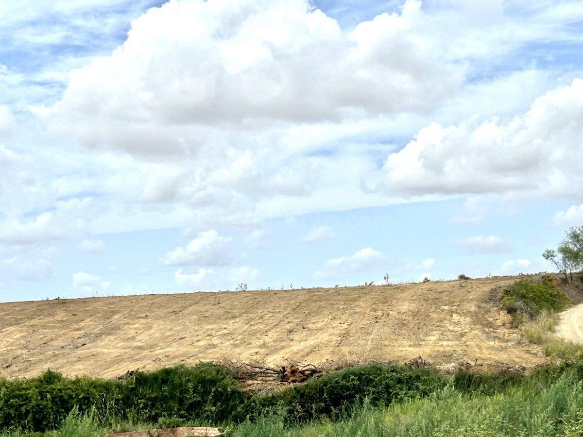 Terreno rural en venta - Almonte - foto 2