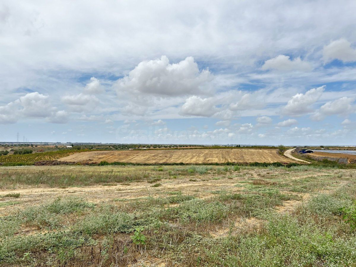 Terreno rural en venta - Almonte - foto 3