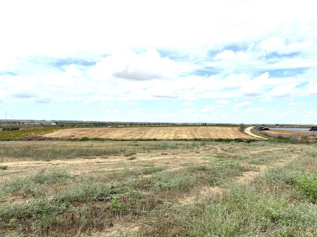 Terreno rural en venta - Almonte - foto 4