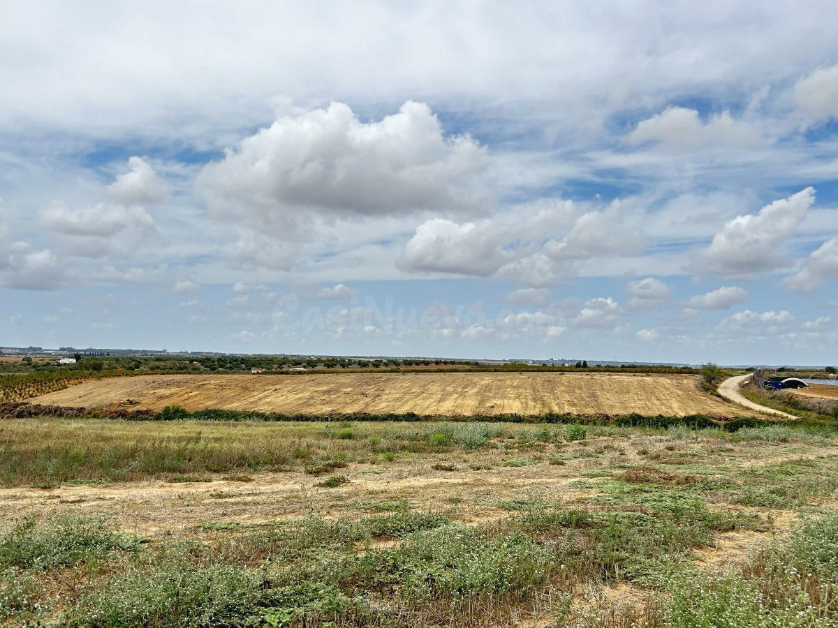 Terreno rural en venta - Almonte - foto 5