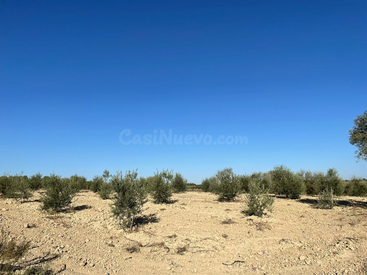 Finca rústica 400m² en venta - Andalucia - foto 4