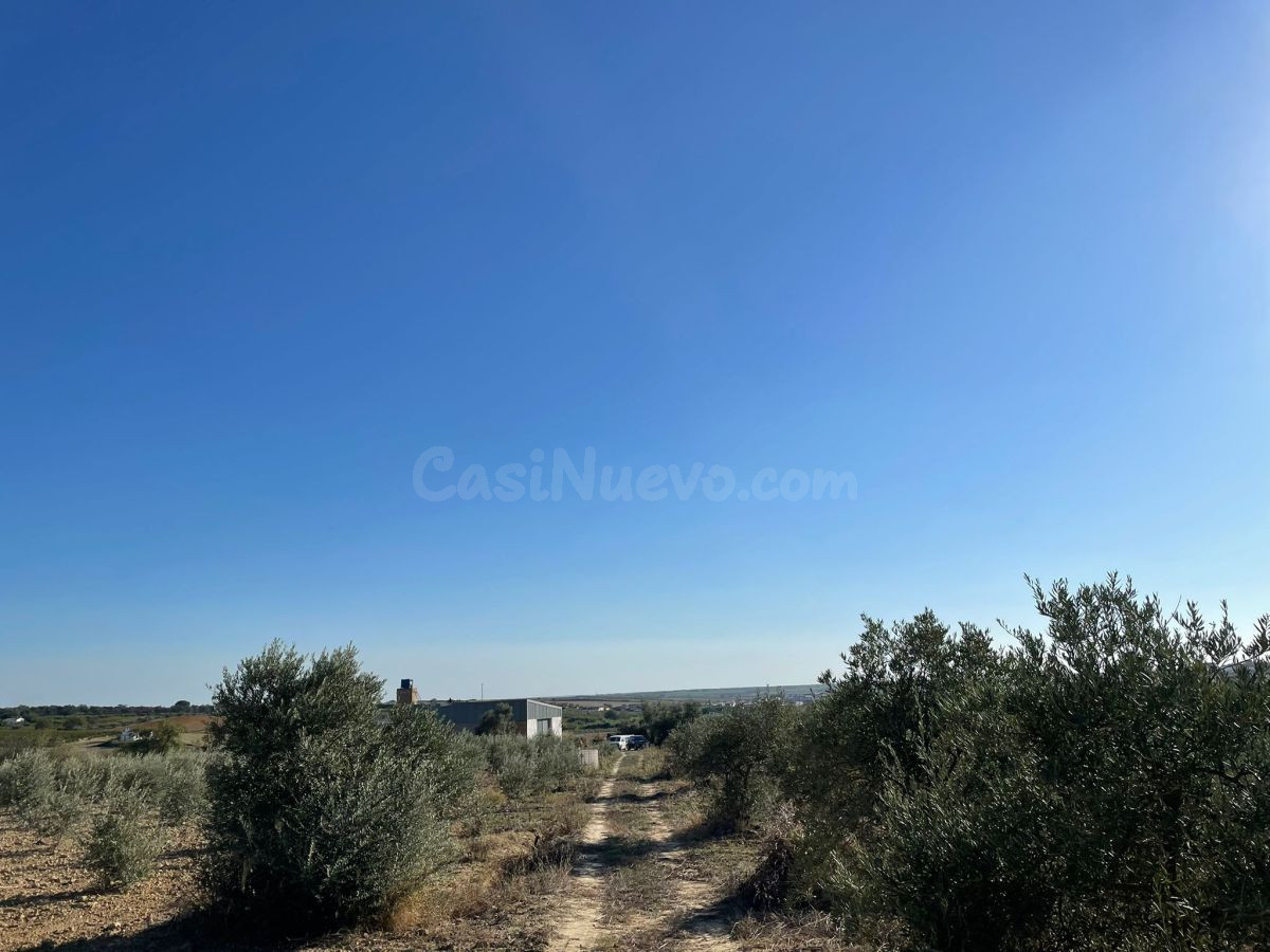 Finca rústica 400m² en venta - Andalucia - foto 5