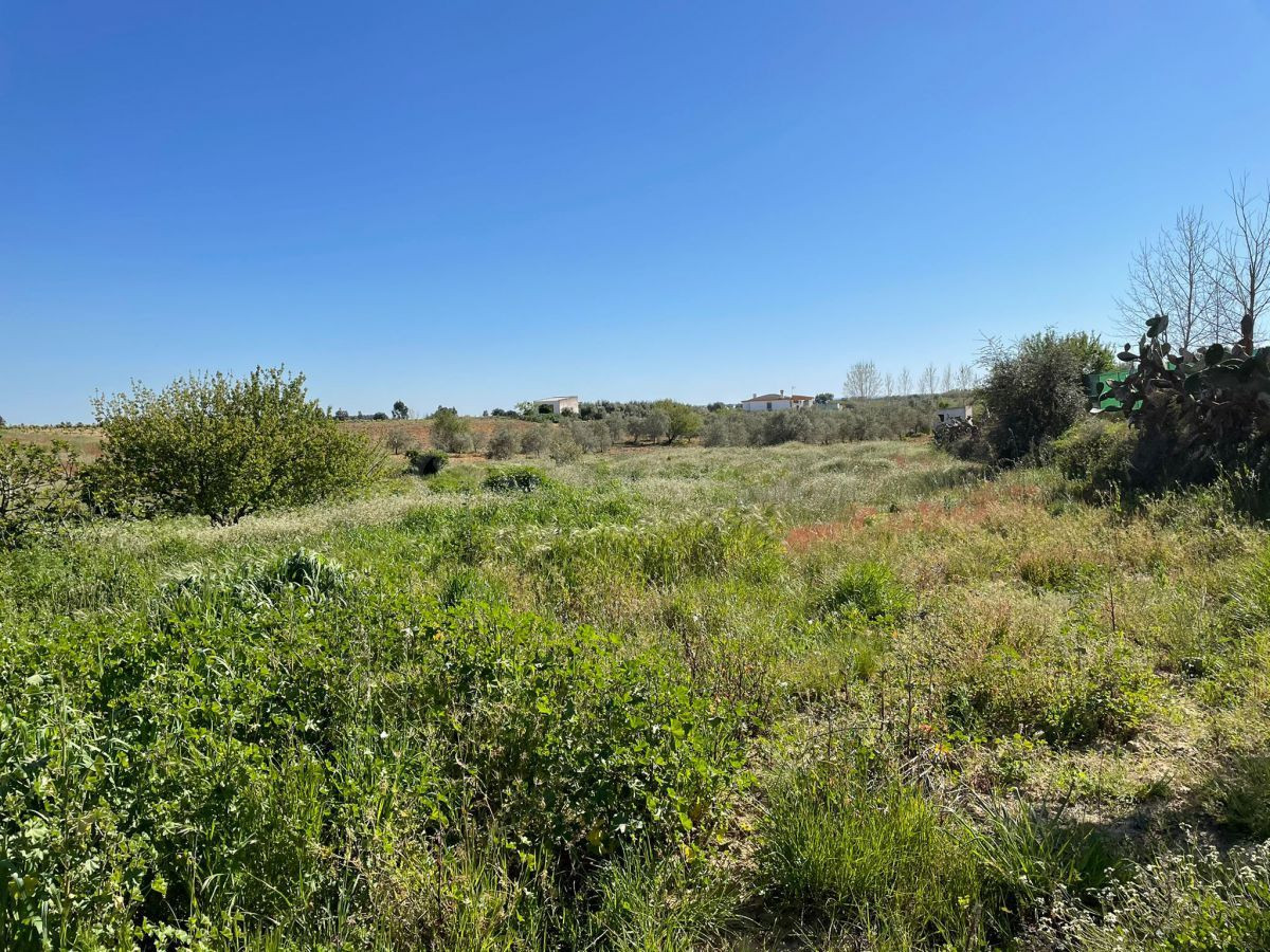 Finca rústica 2 habitaciones 98m² en venta - Andalucia - foto 2