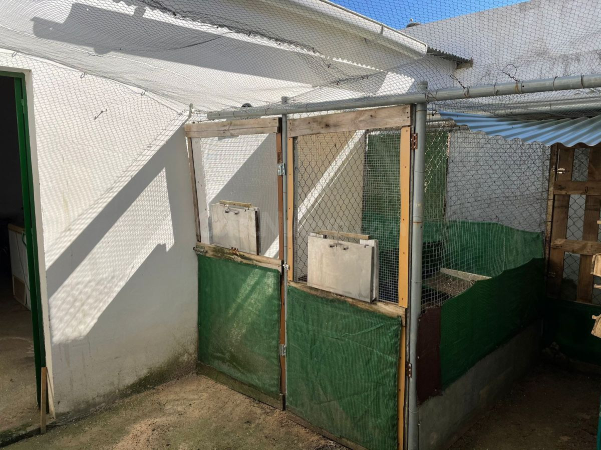 Solar en venta - Bollullos par del condado - foto 3