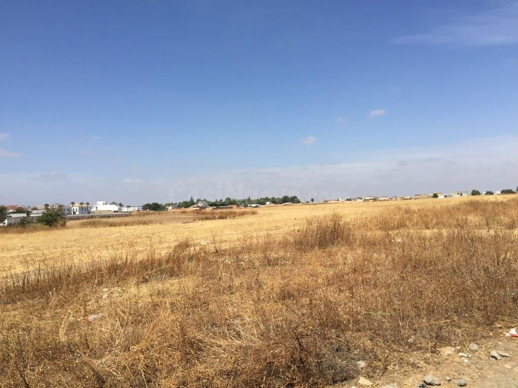 Parcela en venta - Almonte