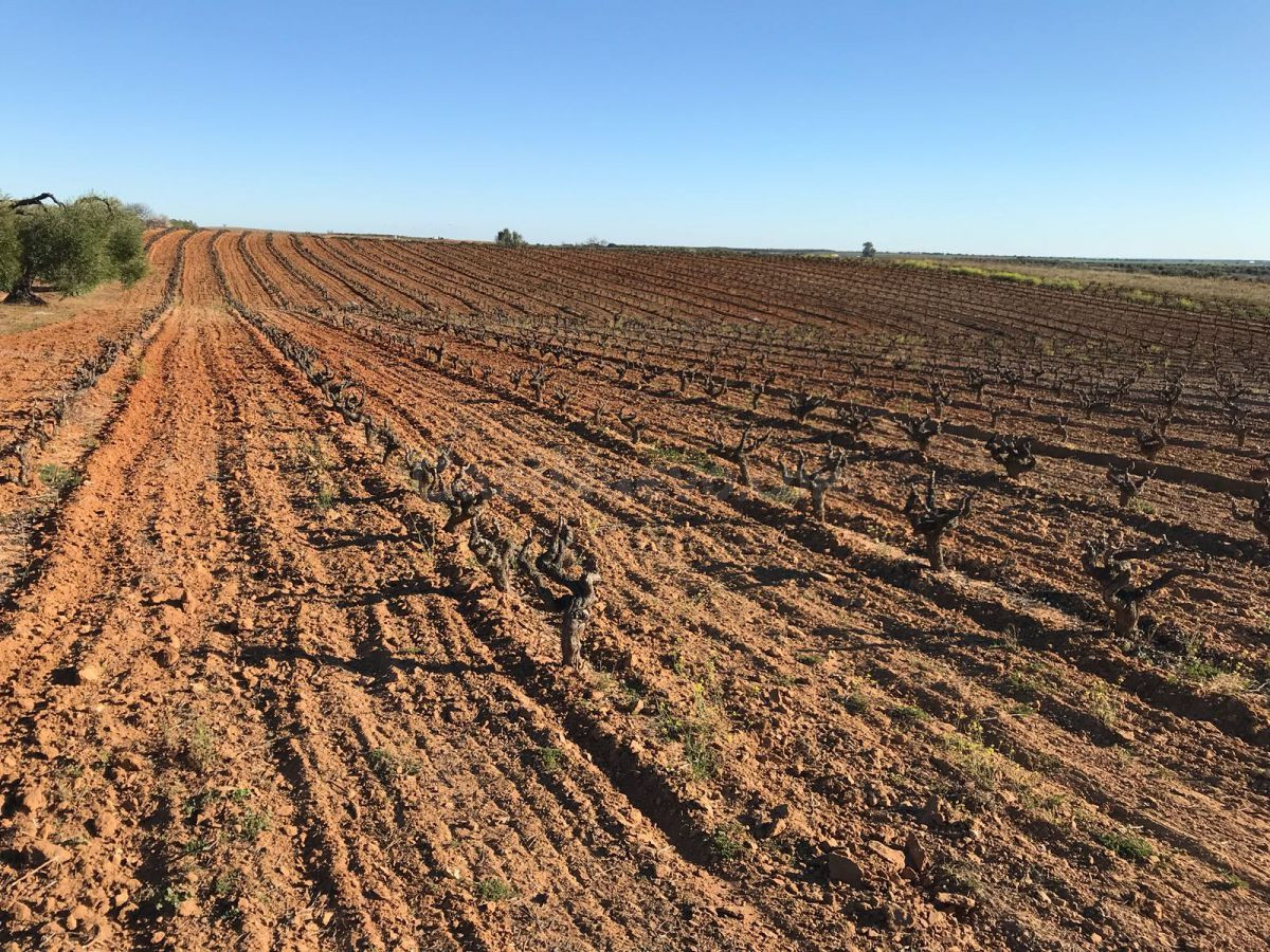 Finca rústica en venta - Bollullos Par Del Condado