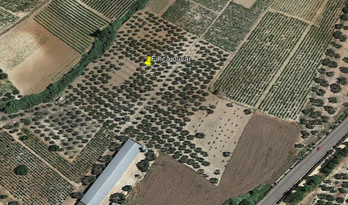 Finca rústica en venta - Andalucia - foto 3