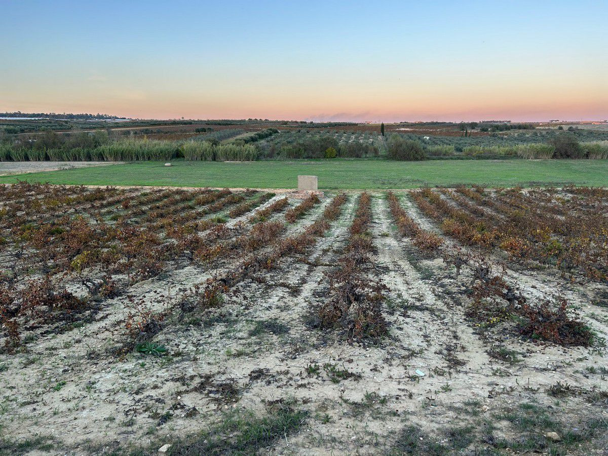 Finca rústica con más de 24.000 m2 de viñedos, olivar y tier