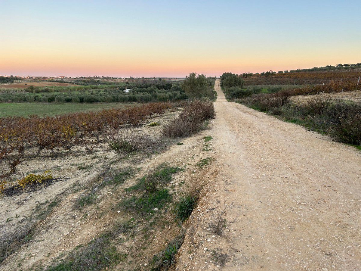 Finca rústica con más de 24.000 m2 de viñedos, olivar y tier - foto 4