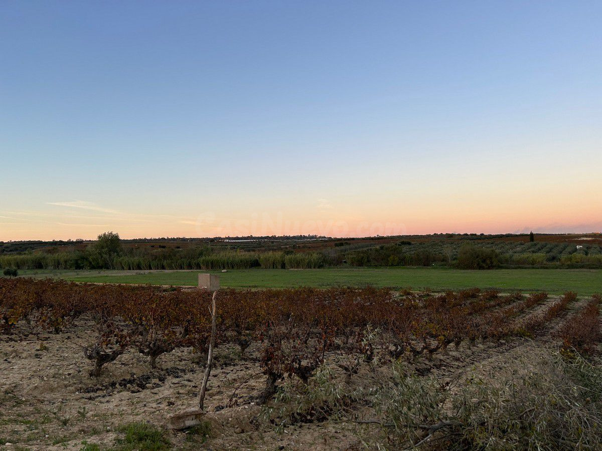 Finca rústica con más de 24.000 m2 de viñedos, olivar y tier - foto 5