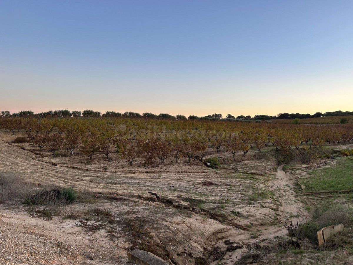 Finca rústica en venta - Andalucia