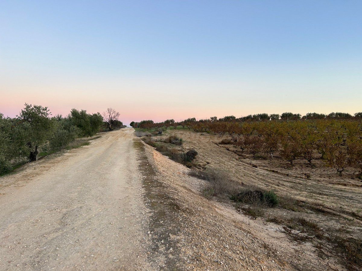Finca rústica en venta - Andalucia - foto 2