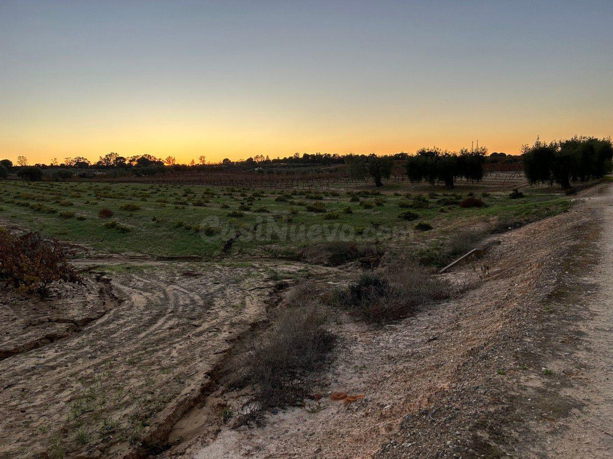 Finca rústica en venta - Andalucia - foto 3