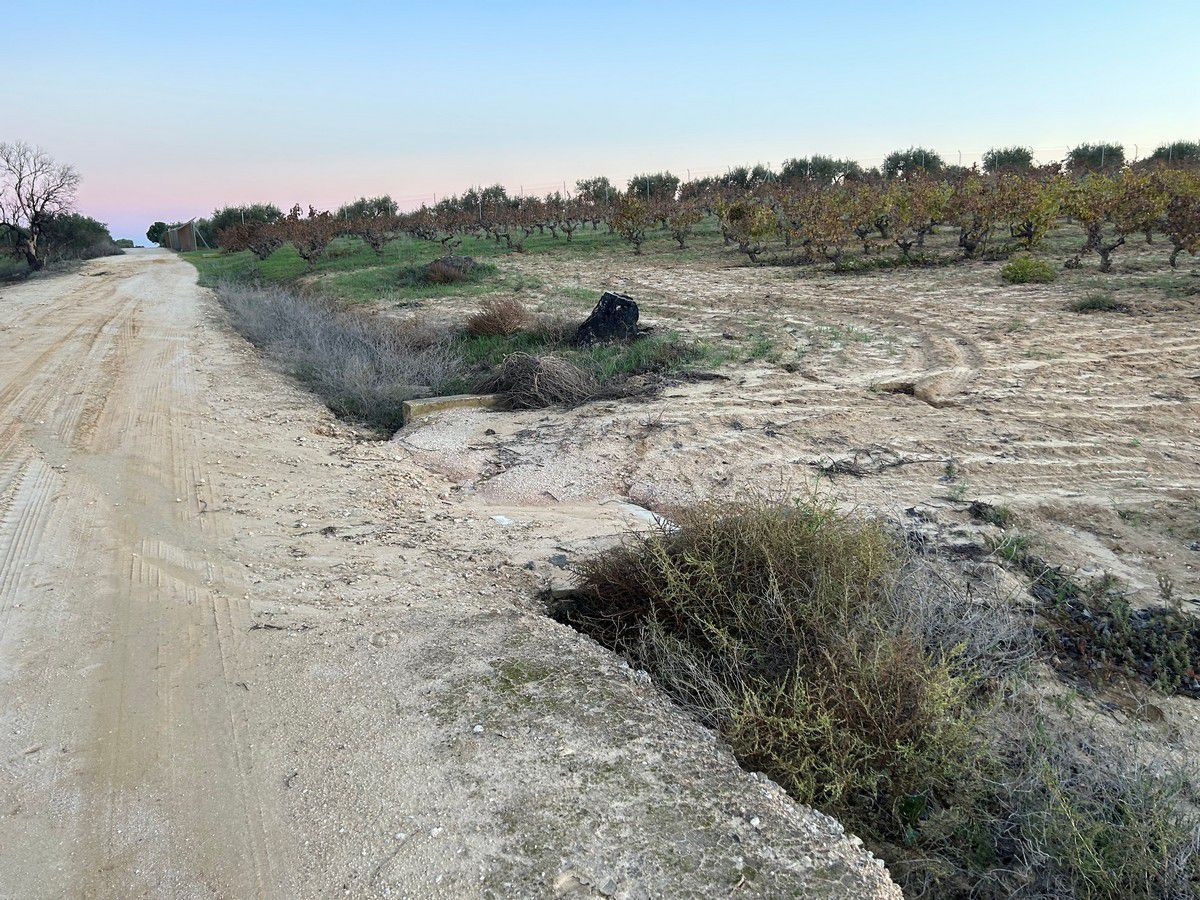 Finca rústica en venta - Andalucia - foto 5