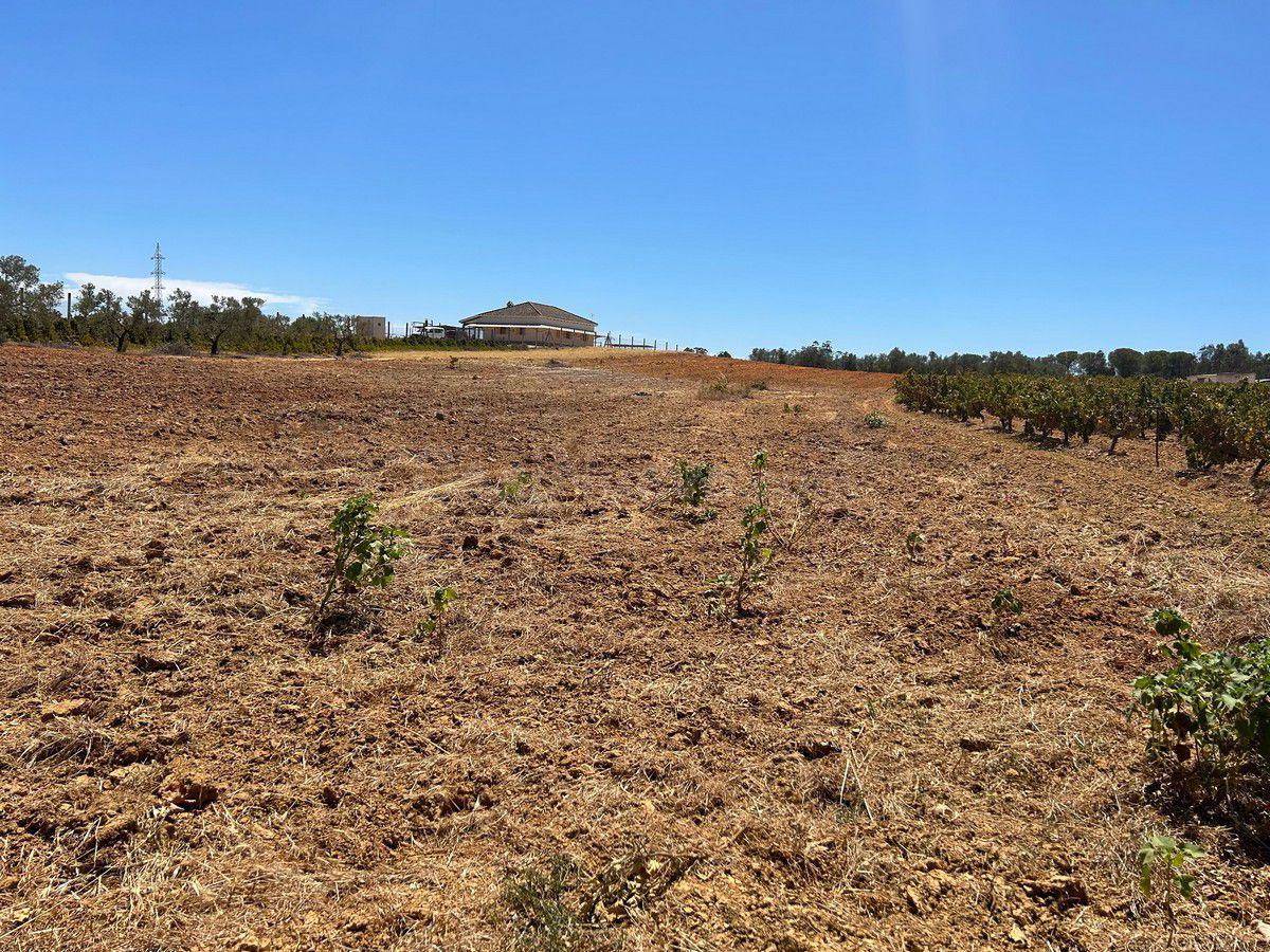 Finca rústica en venta - Almonte