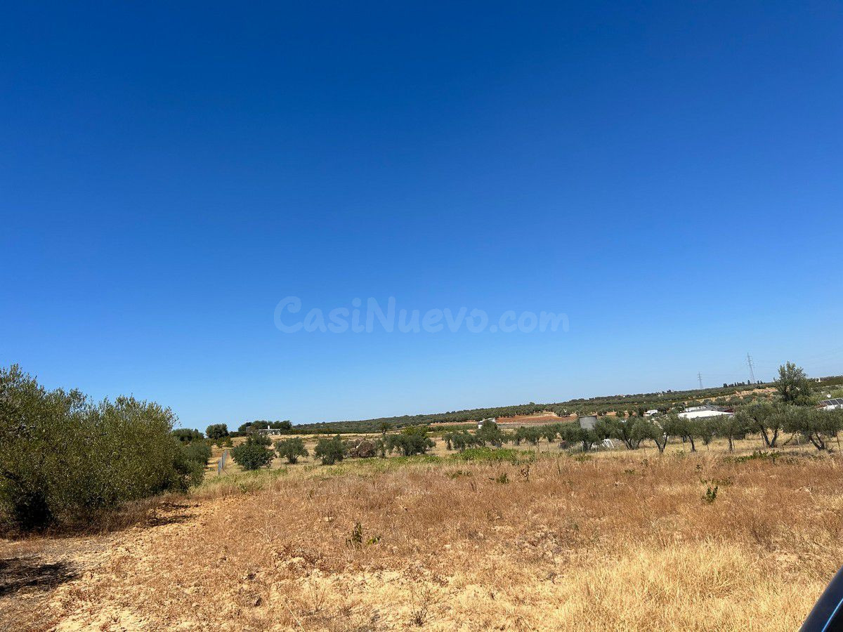 Finca rústica en venta - Almonte - foto 3