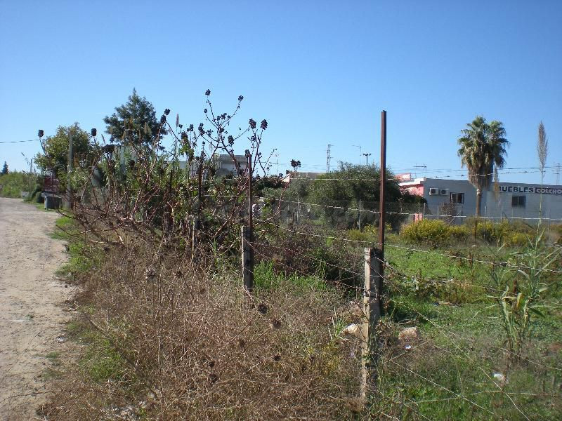 PARCELA EN CHIPIONA, CADIZ, ANDALUCIA - foto 2