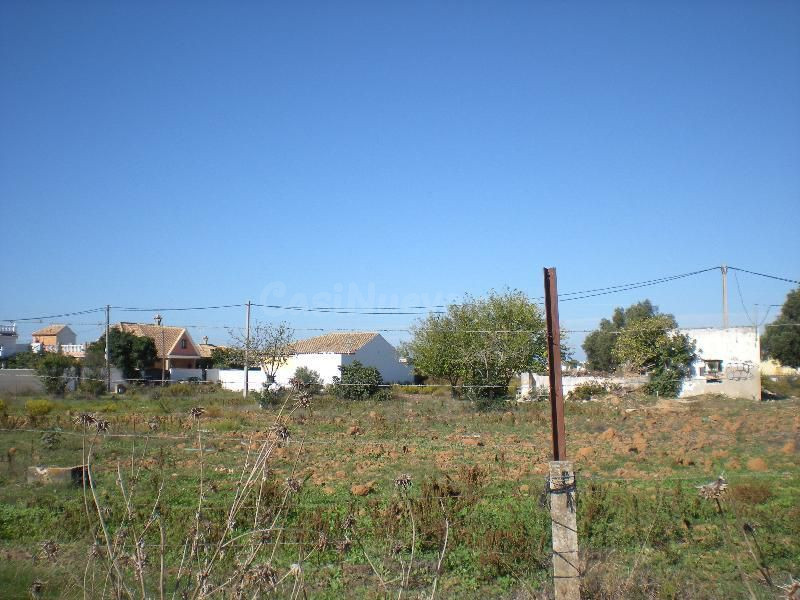PARCELA EN CHIPIONA, CADIZ, ANDALUCIA - foto 3