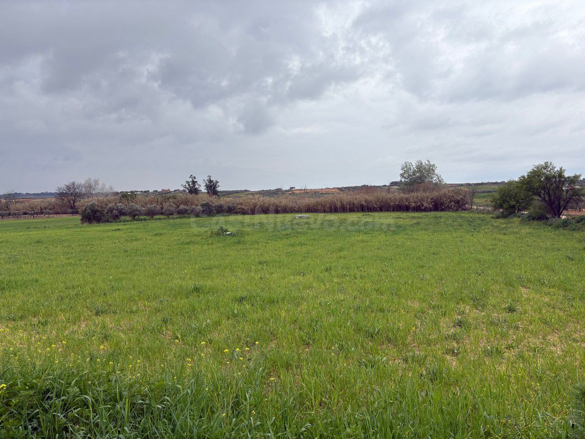 Finca rústica en venta - Bollullos par del condado