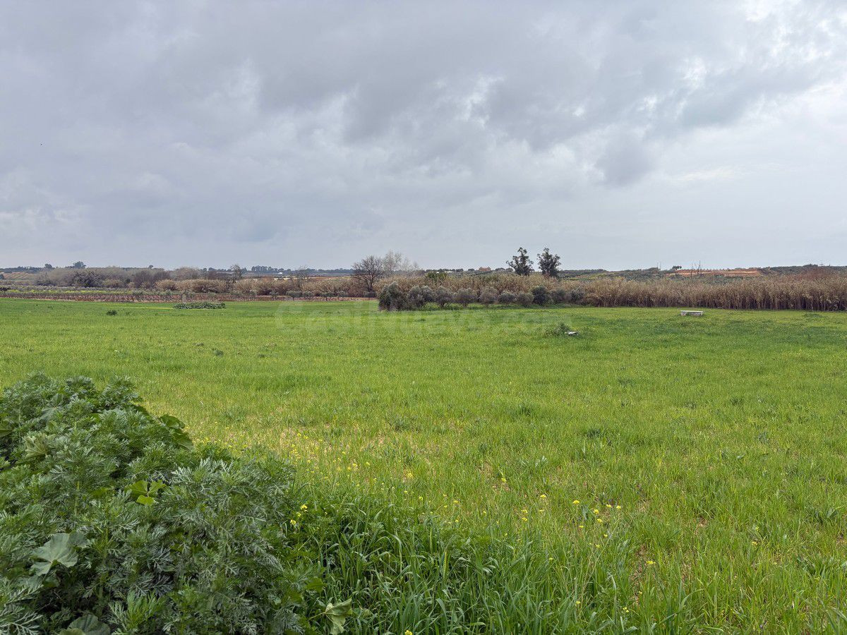 Finca rústica en venta - Bollullos par del condado - foto 2
