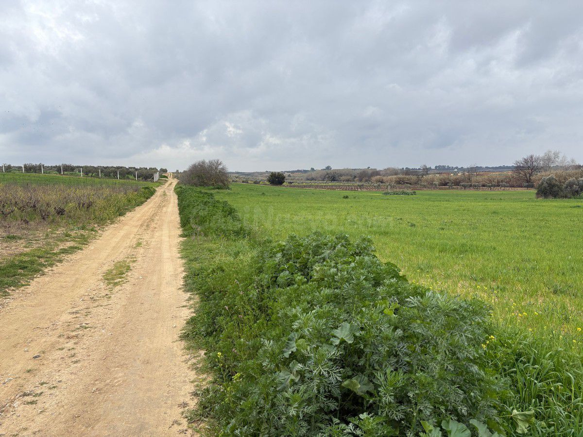Finca rústica en venta - Bollullos par del condado - foto 3