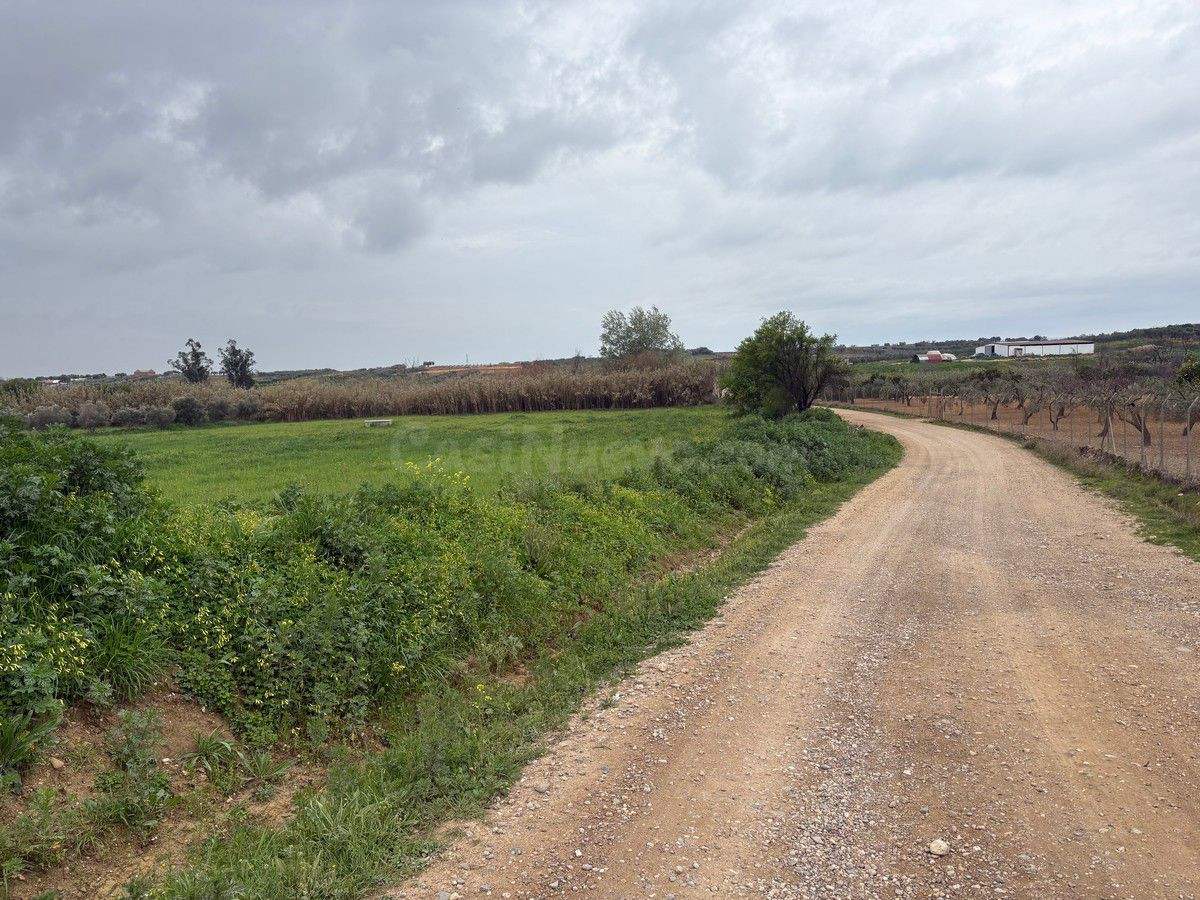 Finca rústica en venta - Bollullos par del condado - foto 4