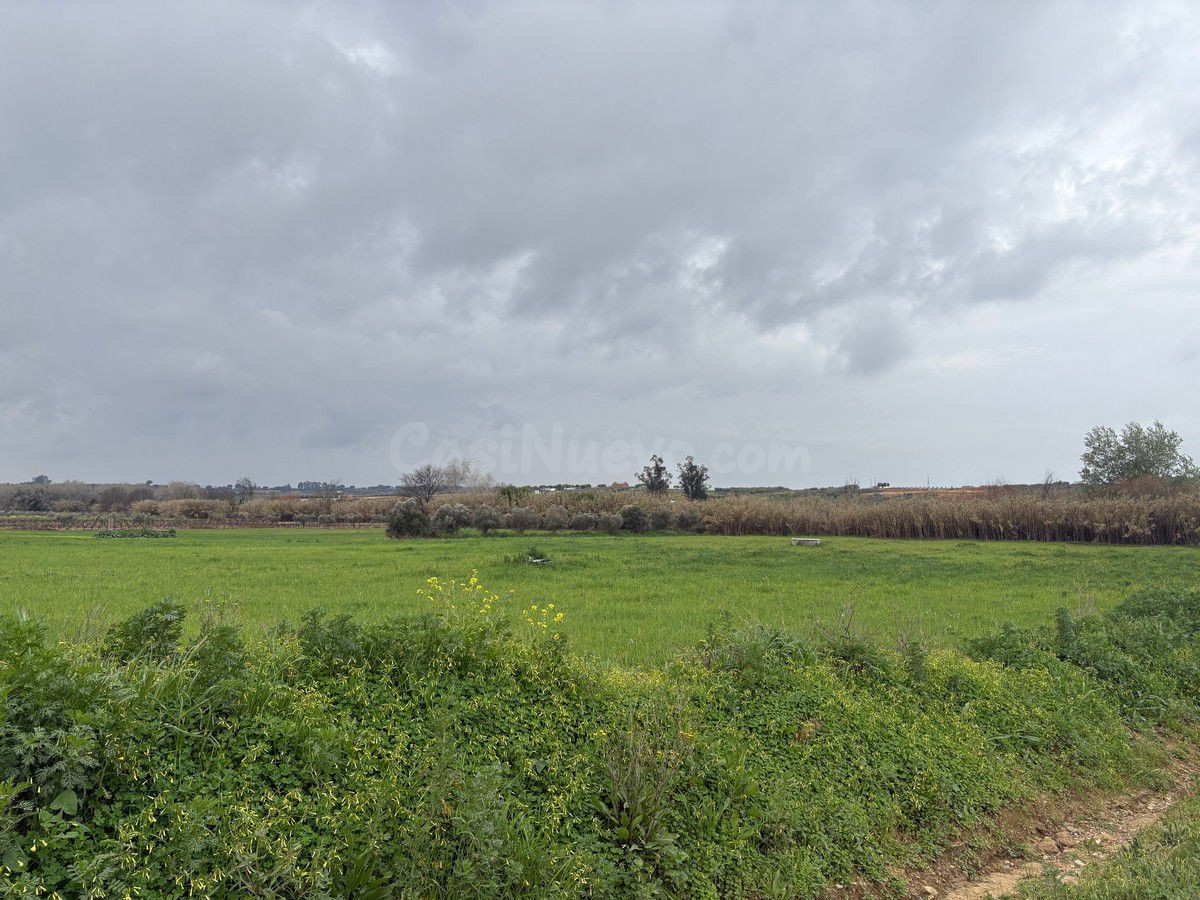 Finca rústica en venta - Bollullos par del condado - foto 5