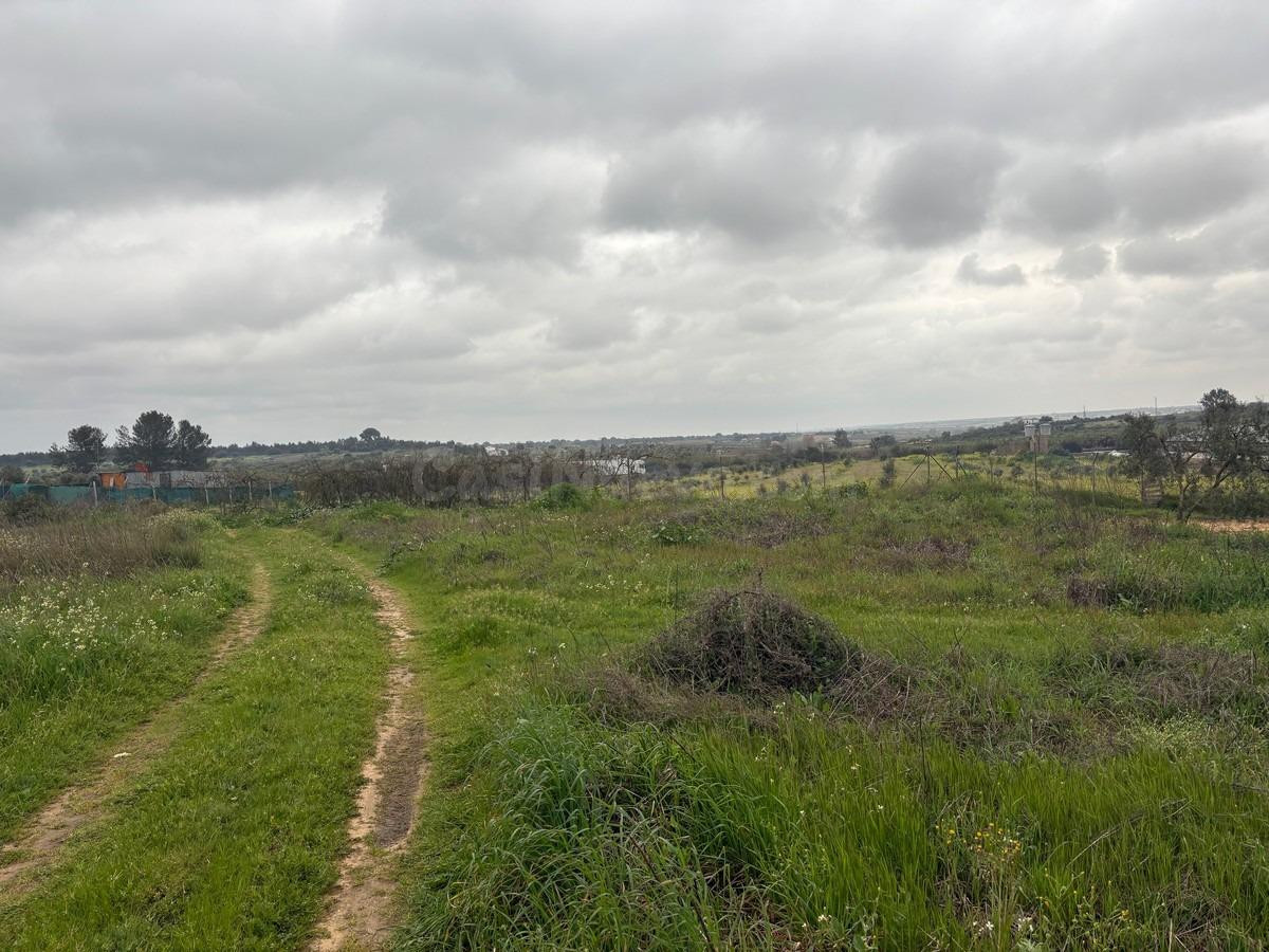Finca rústica en venta - La palma del condado - foto 5