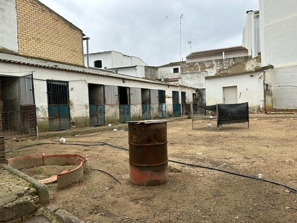 GRAN SOLAR CON MÁS DE 700 M2 EN BOLLULLOS PAR DEL CONDADO, HUELVA