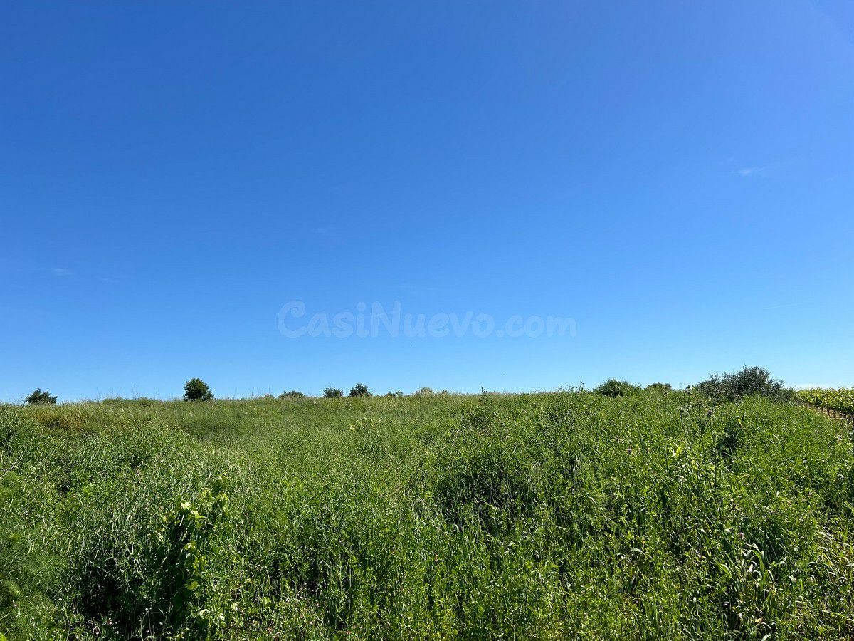 Finca rústica en venta - Andalucia