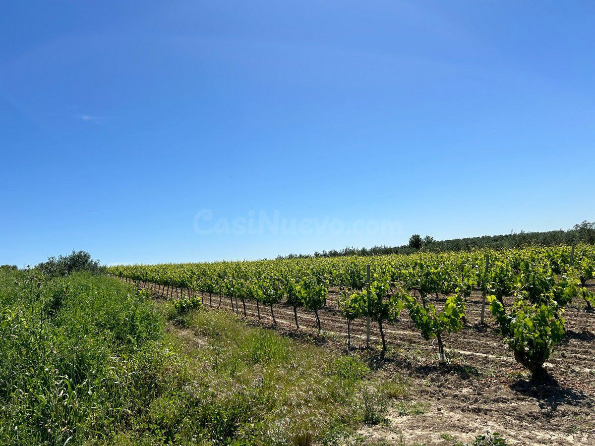 Finca rústica en venta - Andalucia - foto 3