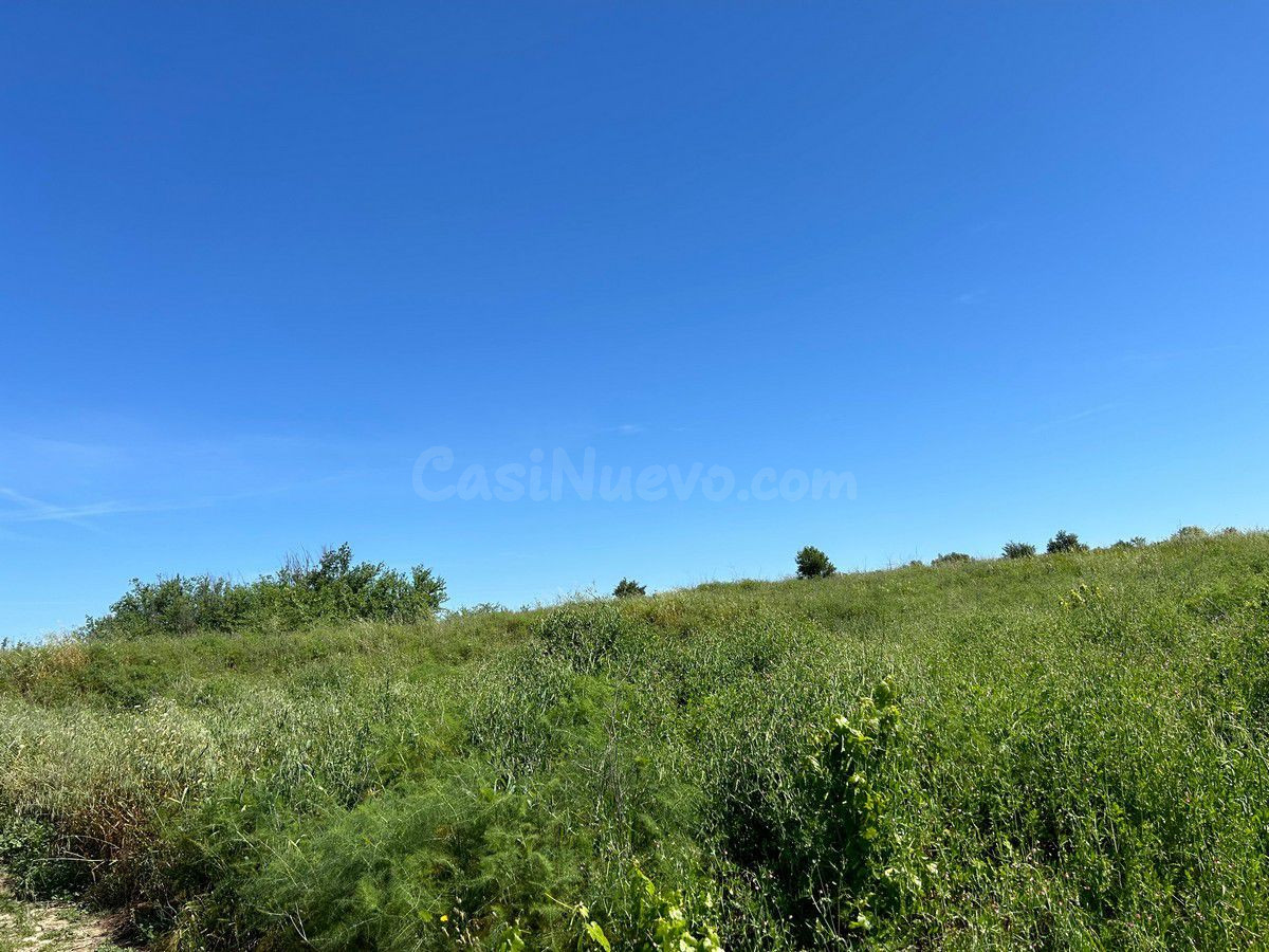Finca rústica en venta - Andalucia - foto 4