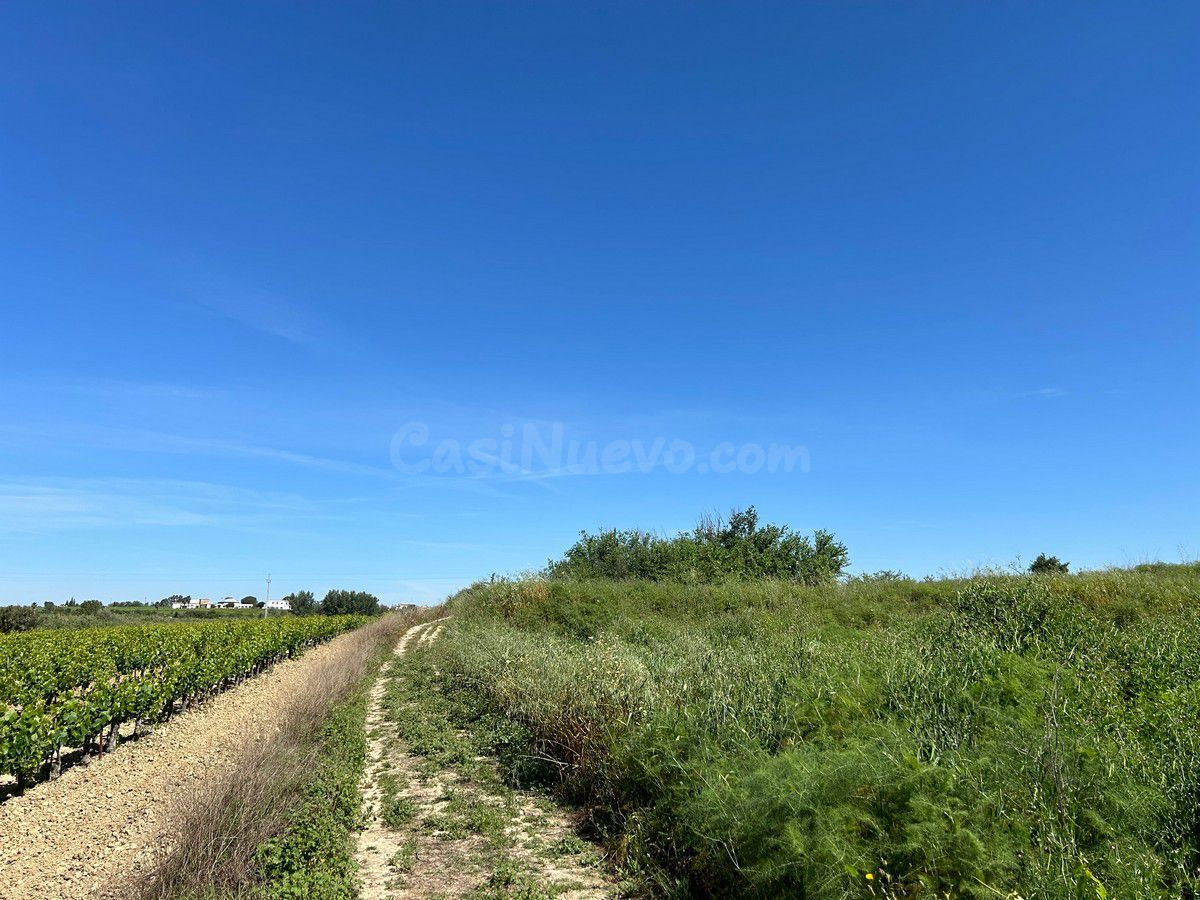 Finca rústica en venta - Andalucia - foto 5