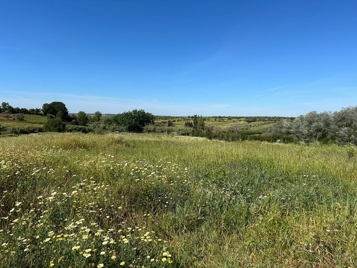Finca rústica en venta - Andalucia