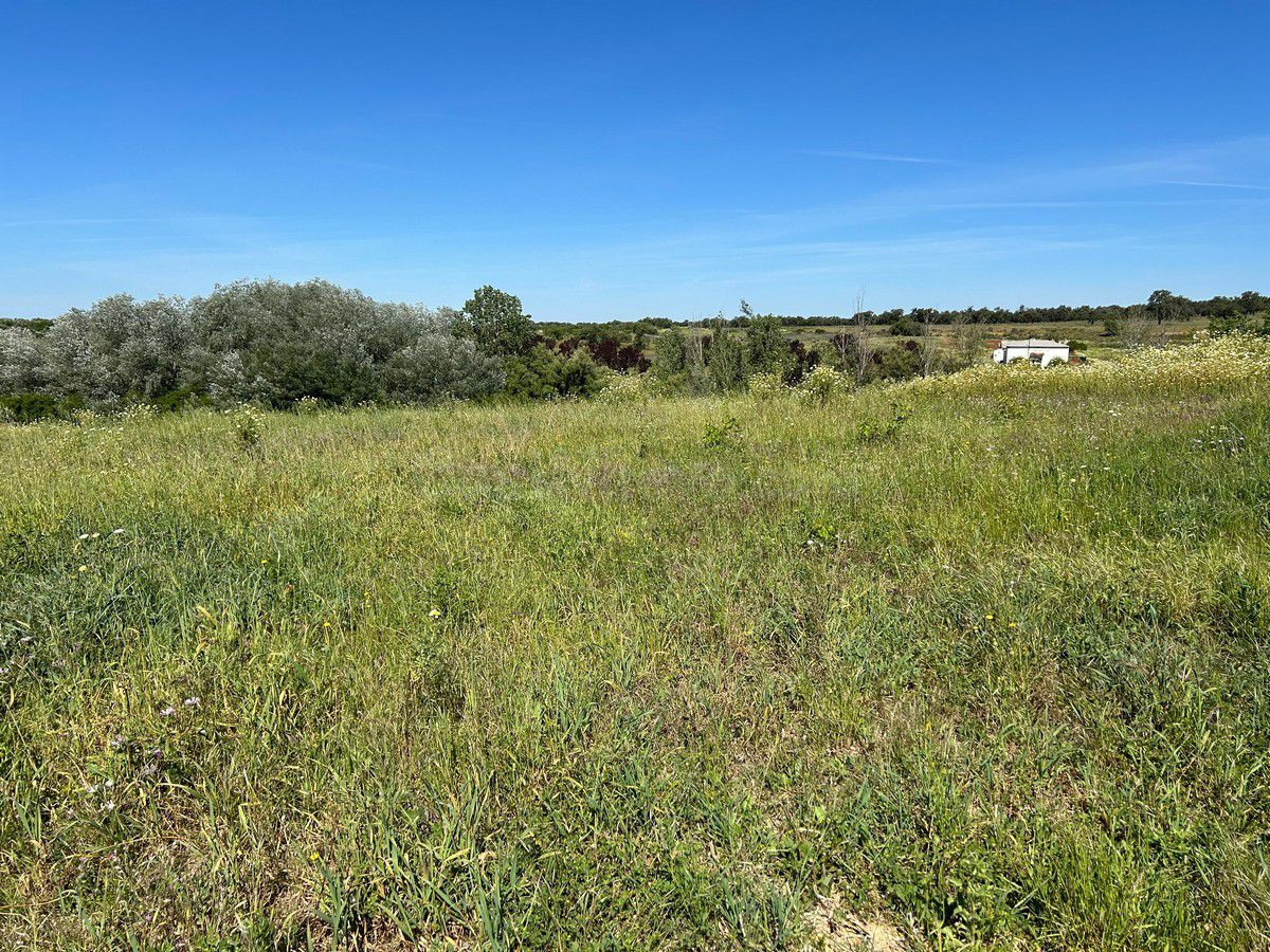 Finca rústica en venta - Andalucia - foto 2