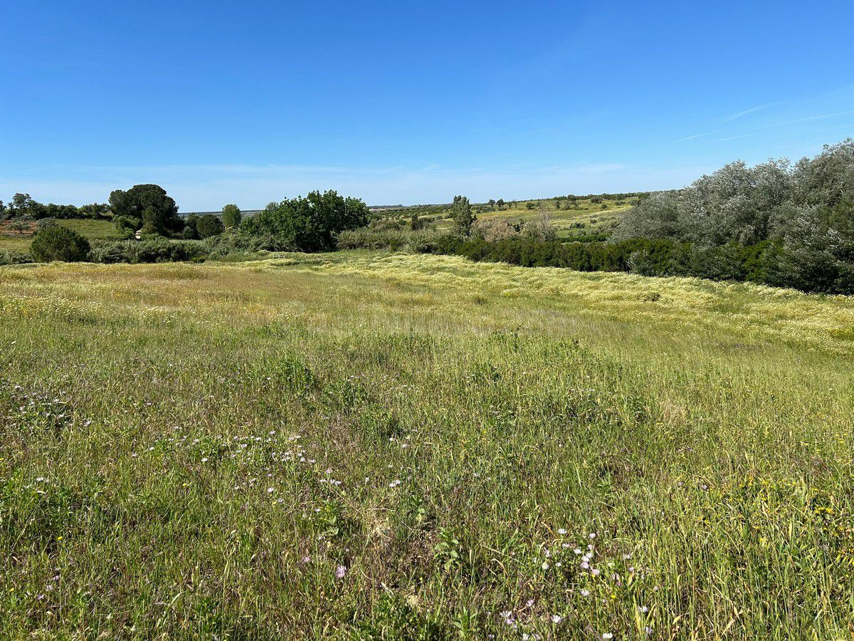 Finca rústica en venta - Andalucia - foto 4