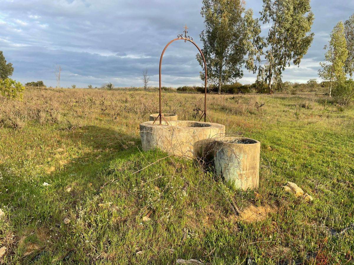 Finca rústica en venta - Andalucia