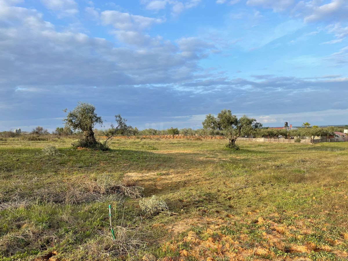 Finca rústica en venta - Andalucia - foto 2
