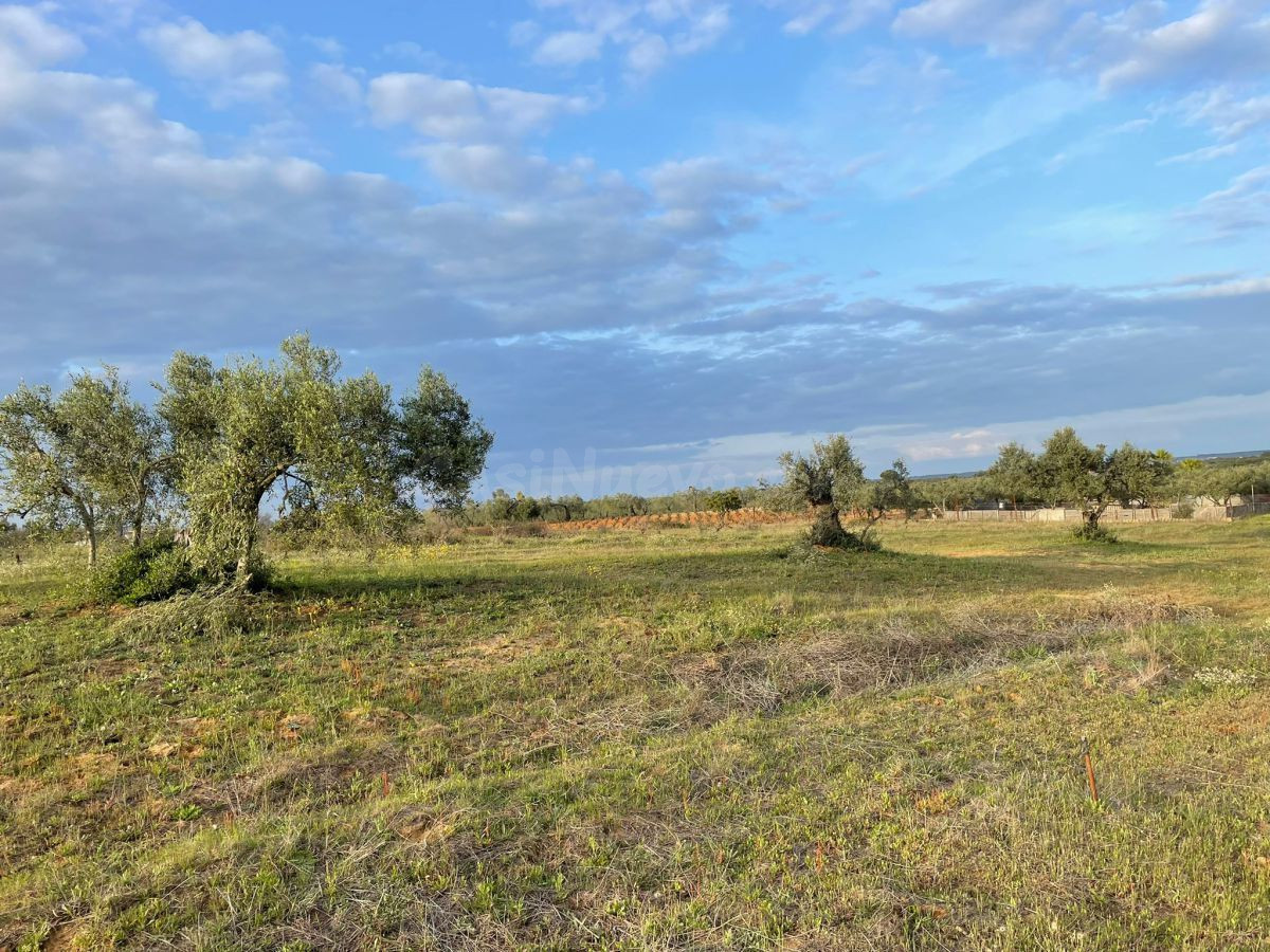 Finca rústica en venta - Andalucia - foto 3
